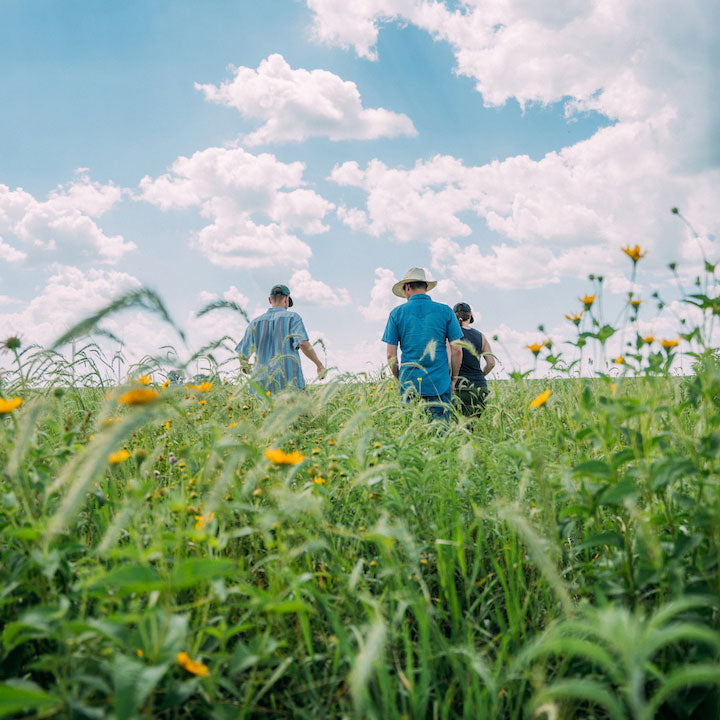 Regenerative Agriculture