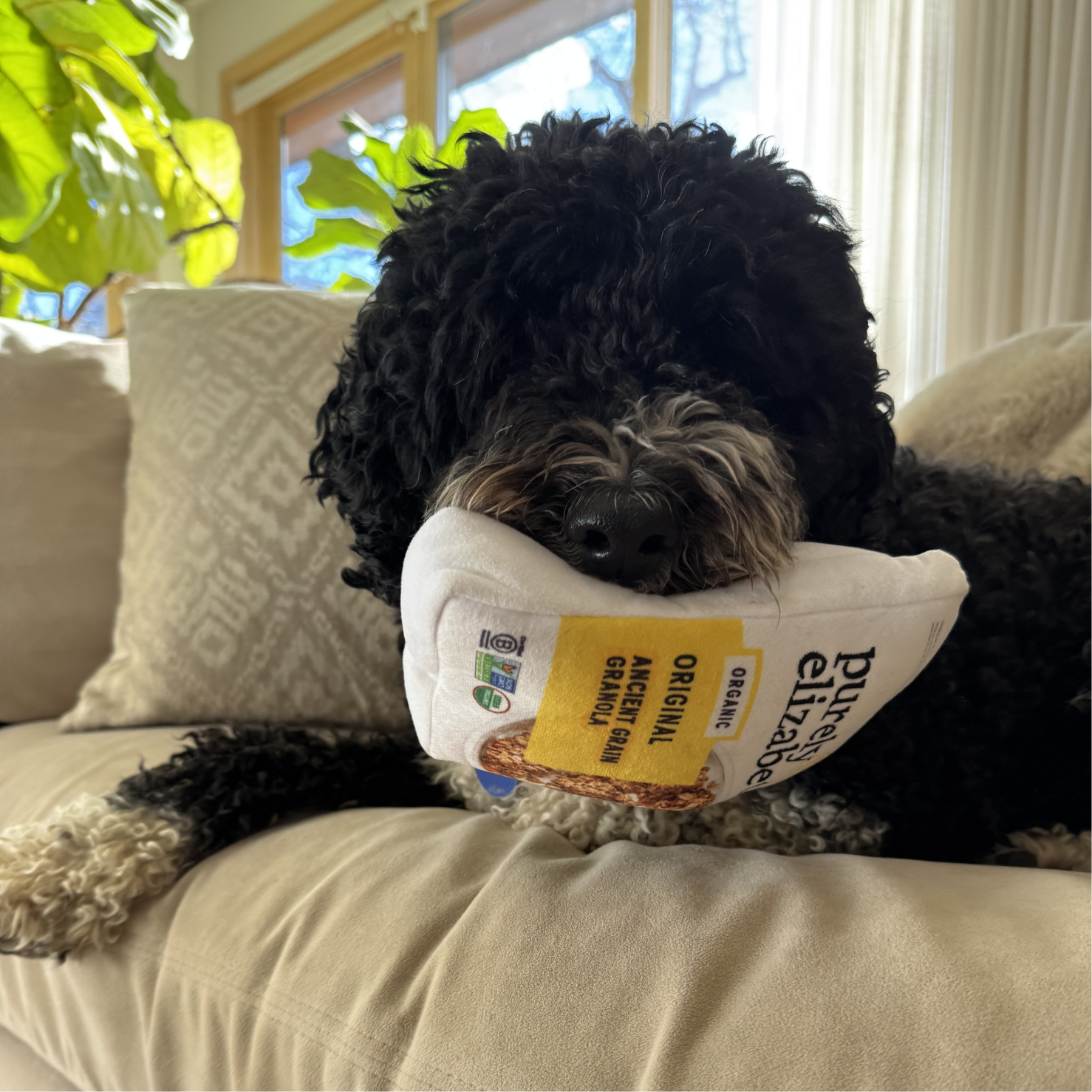 Purely Elizabeth Dog Toy