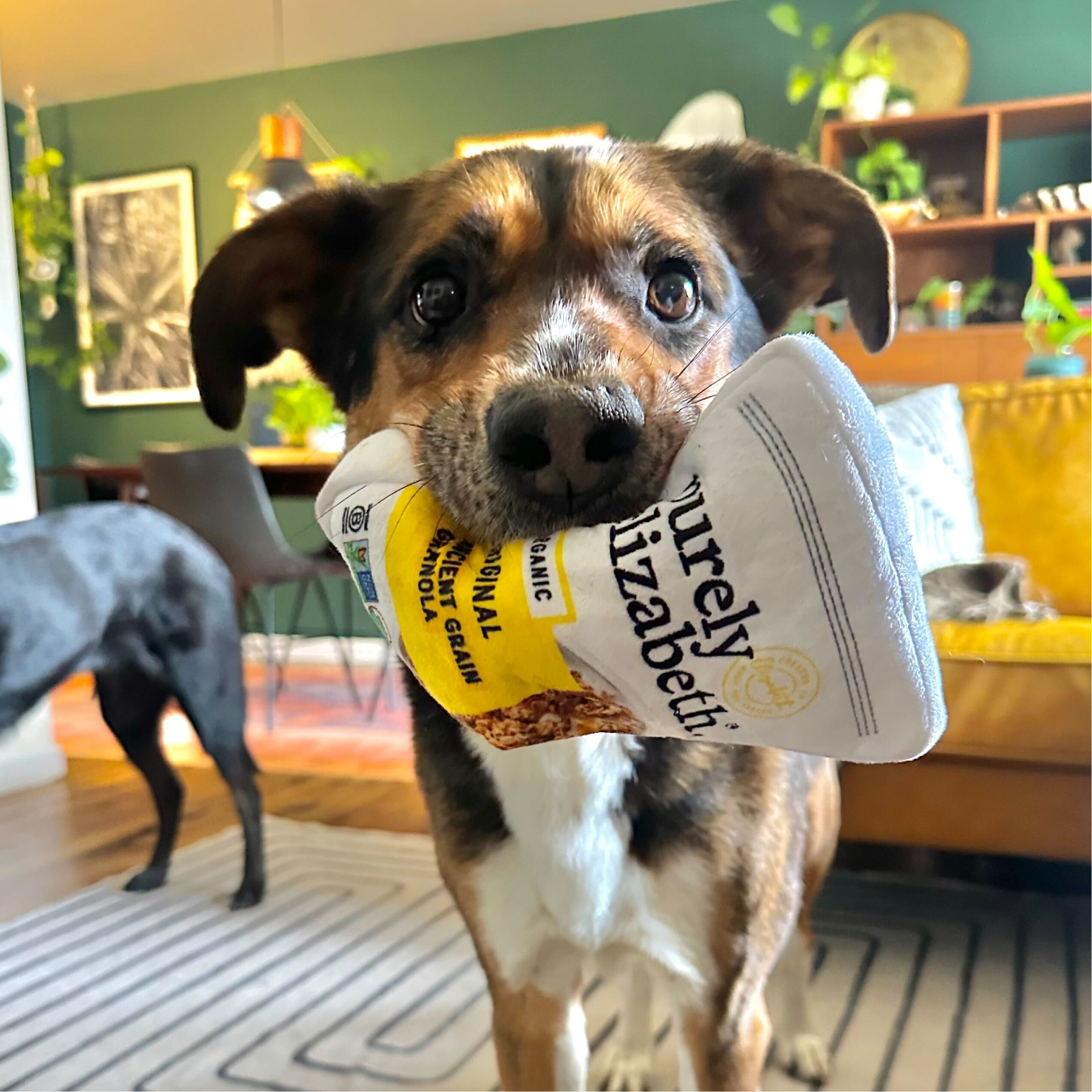 Purely Elizabeth Dog Toy