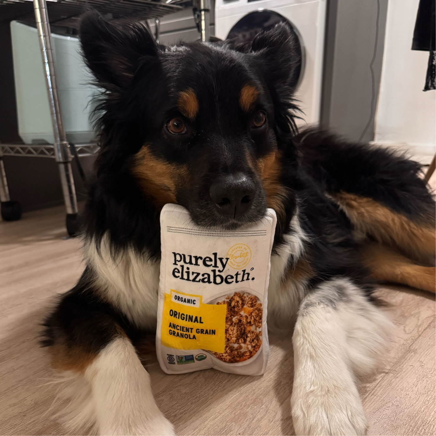 Purely Elizabeth Dog Toy