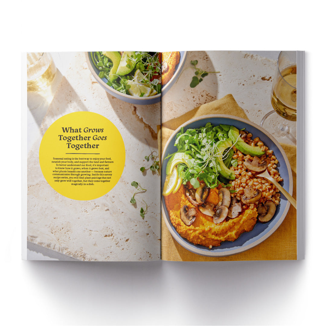 Live Purely Magazine