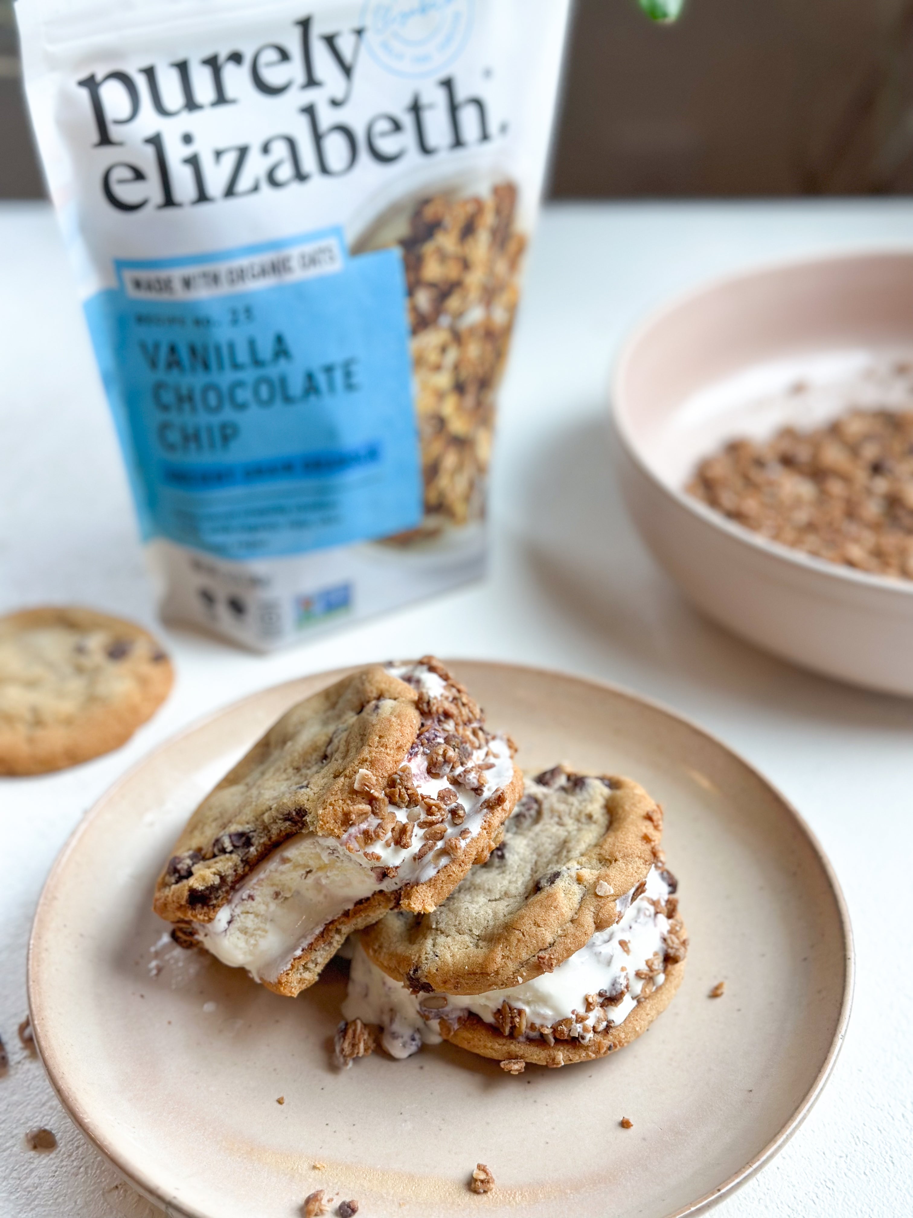 Chocolate Chip Ice Cream Sandwich