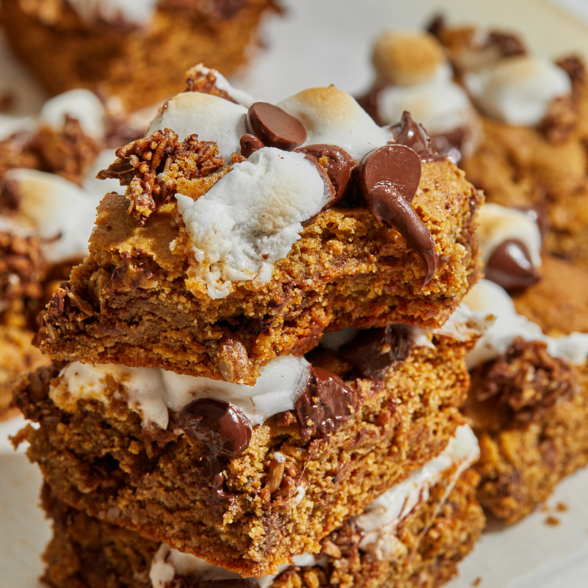 Chocolate Gingerbread Toasted Marshmallow Bars