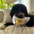 Purely Elizabeth Dog Toy