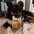 Purely Elizabeth Dog Toy