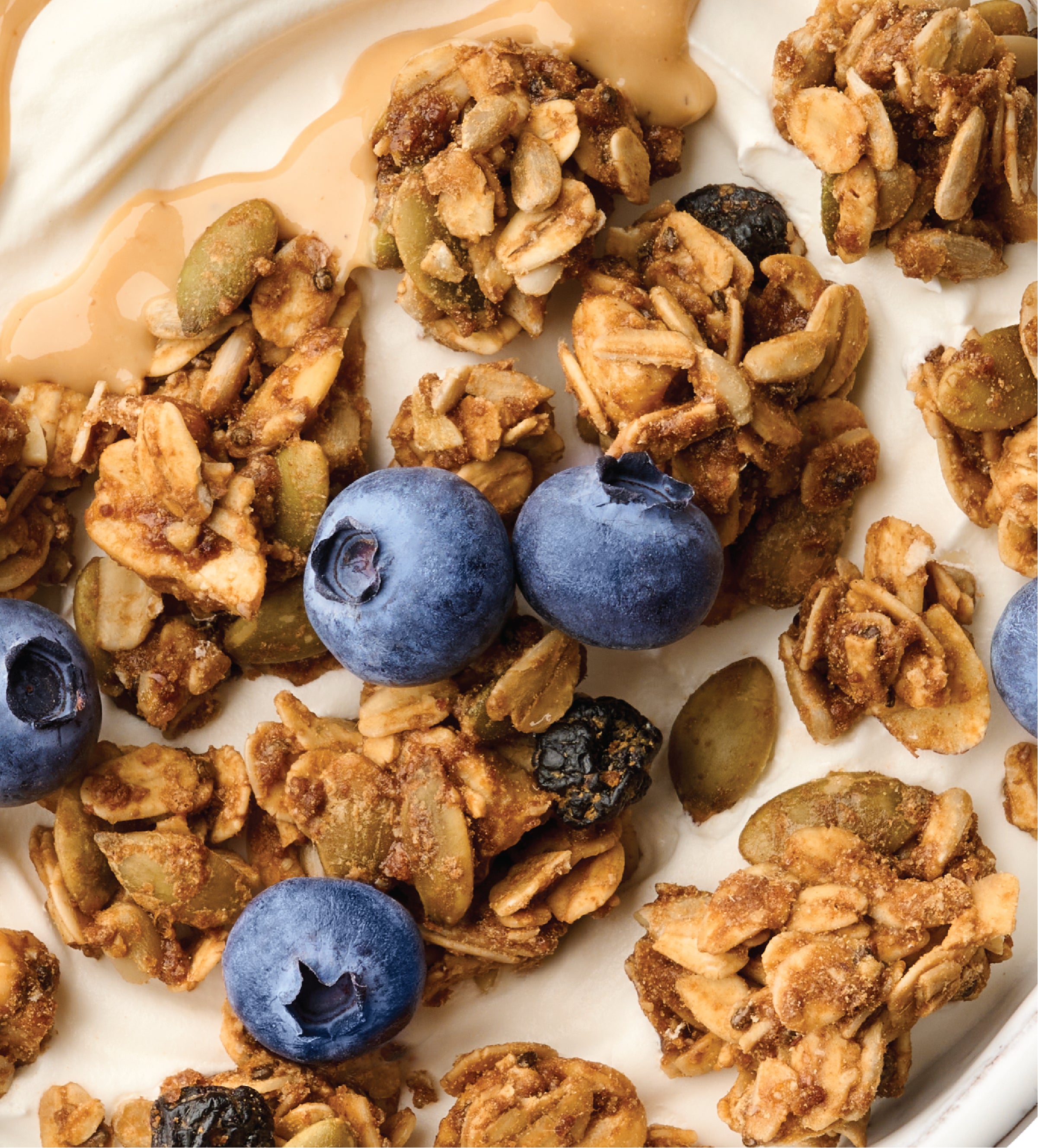 Protein Granola Variety Pack 3 Pack