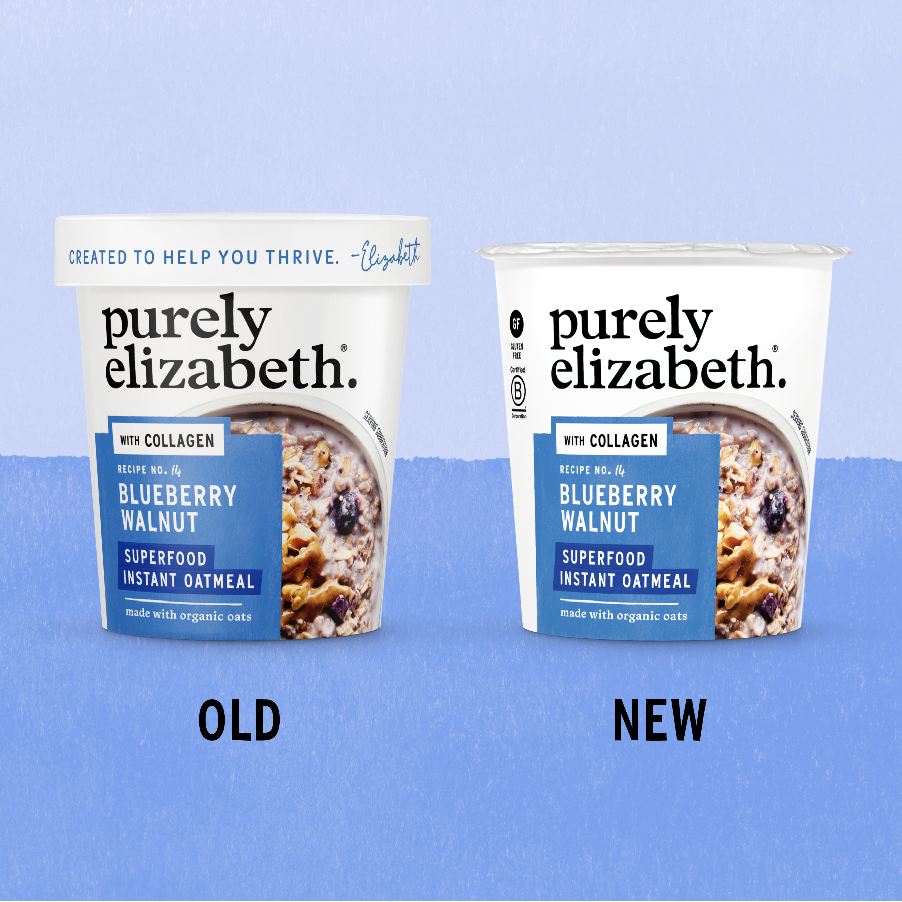 Blueberry Walnut Superfood Oat Cup with Collagen