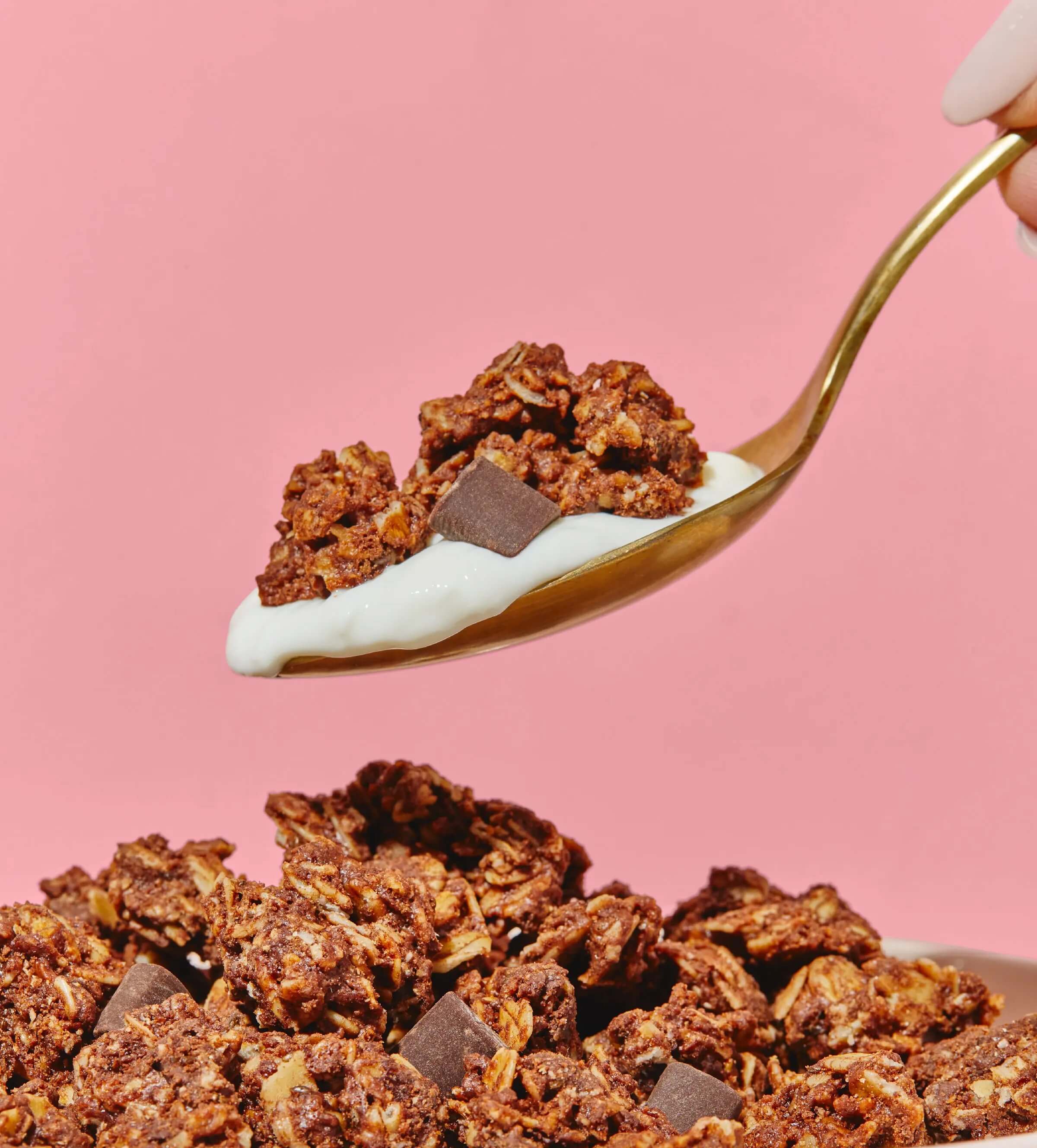 Double Chocolate Cookie Granola