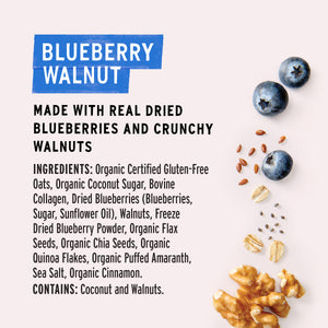 Blueberry Walnut Superfood Oatmeal Pouch with Collagen